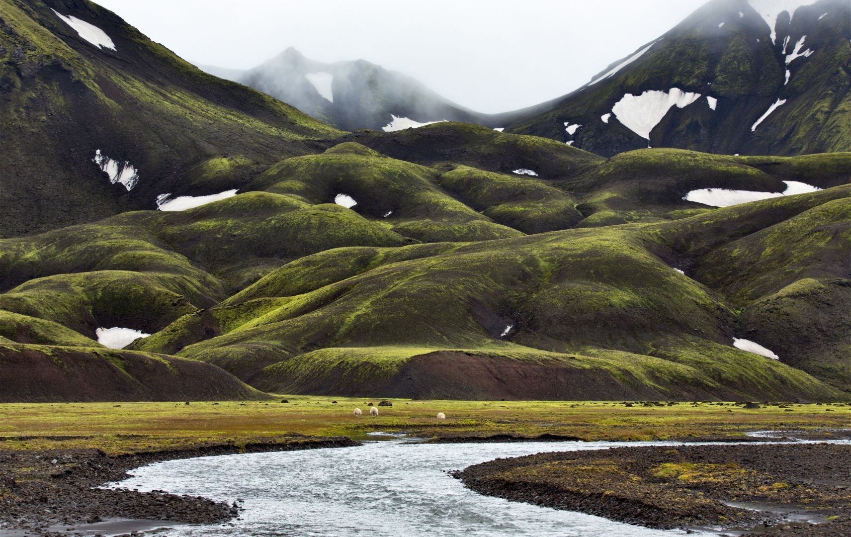 Grüne Hügel in Island