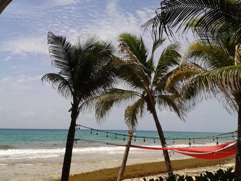 Palmen am Strand in Mexiko Tulum