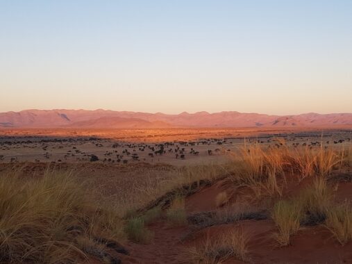 Namib Wüste