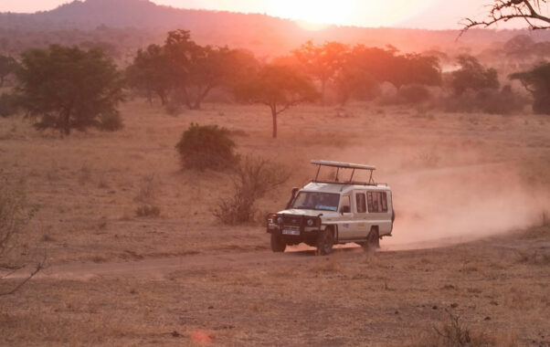 Jeep Safari in Tansania