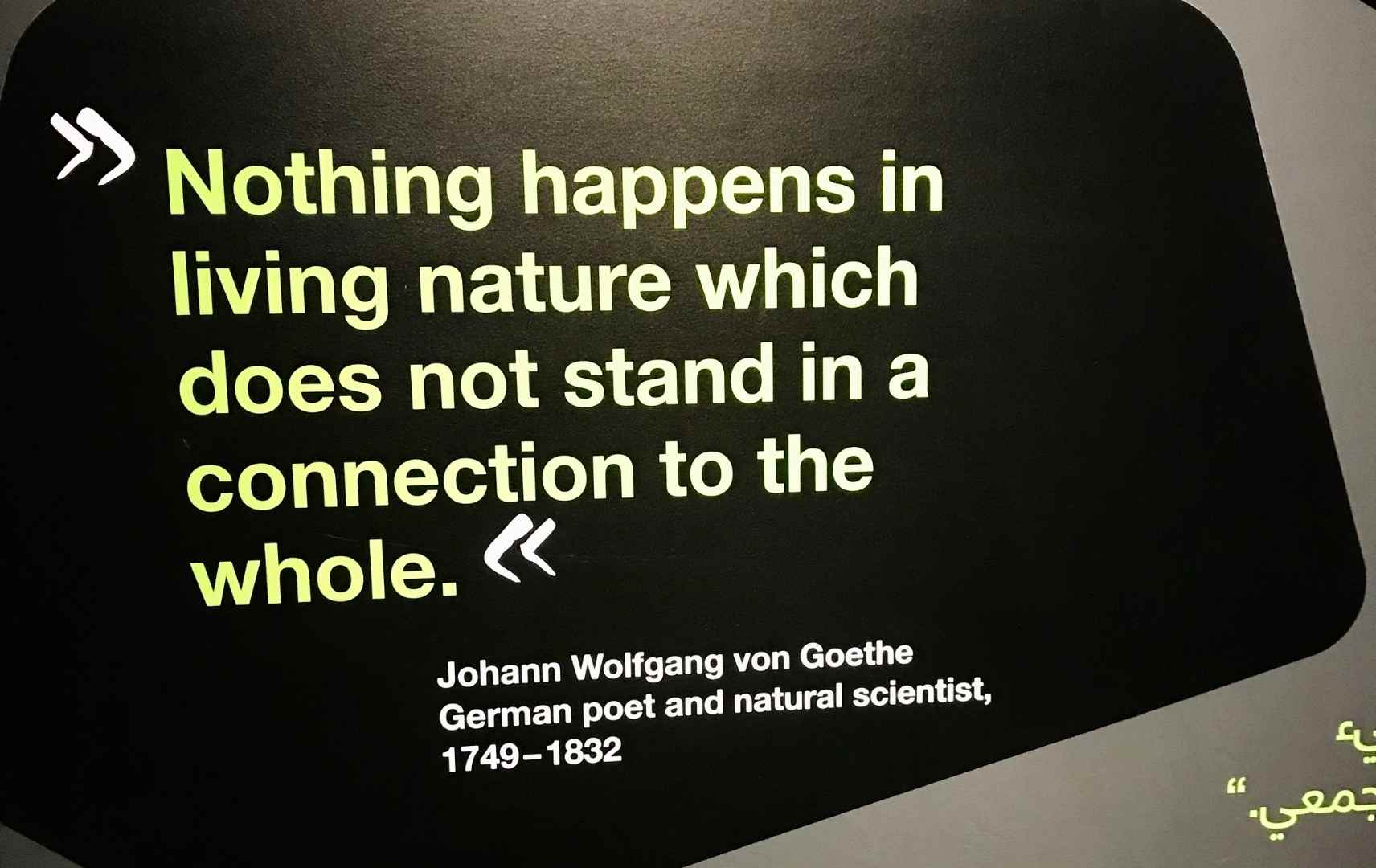 Campus Germany Zitat von Goethe