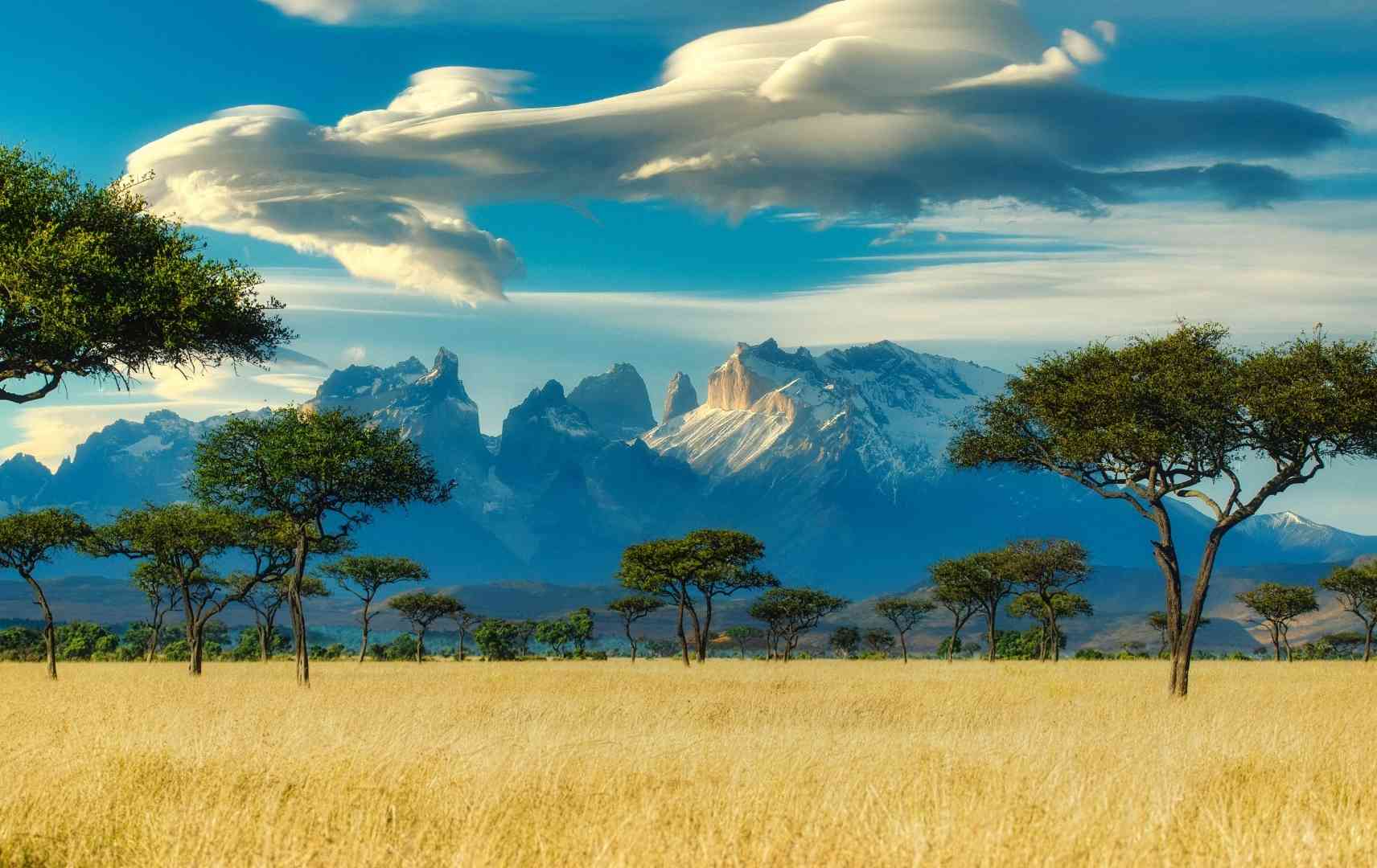 Landschaft Kenia Savanne