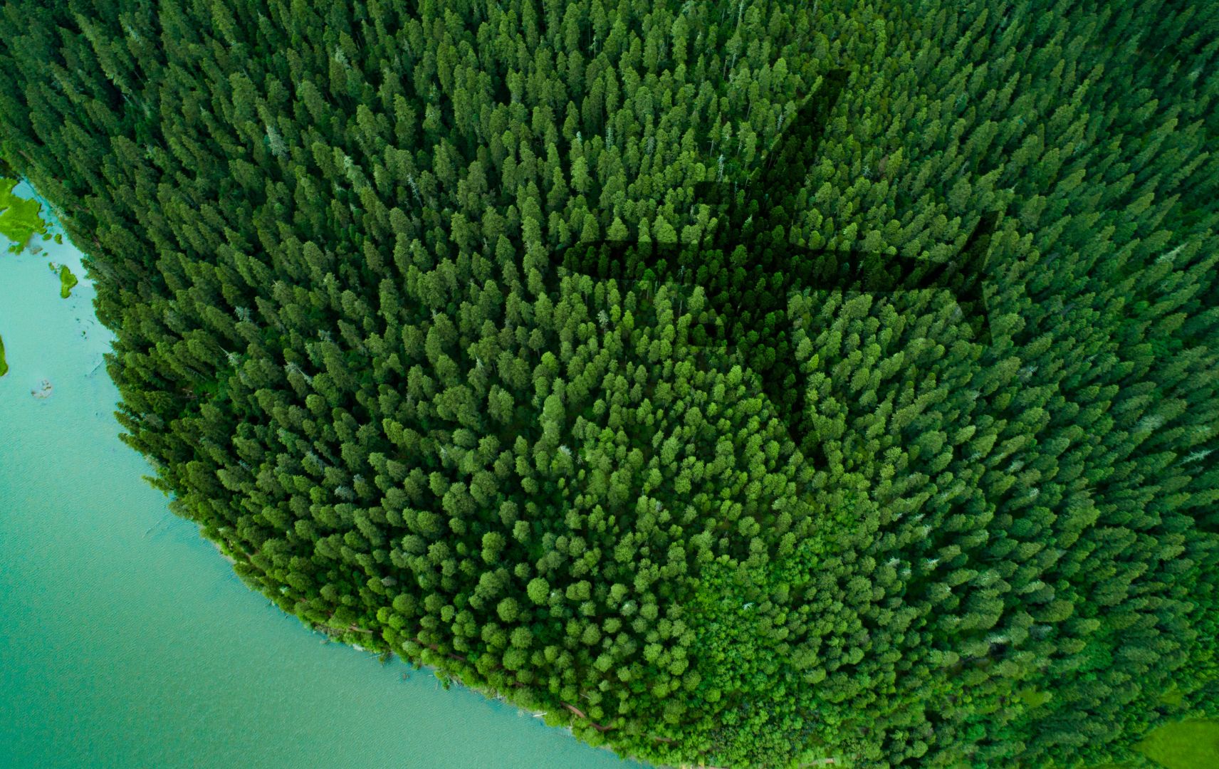 Schatten eines Flugzeugs über einem Wald und See