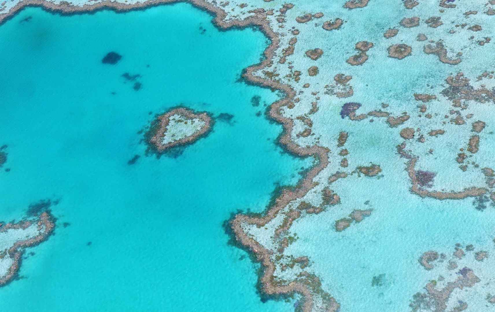 Blick auf das Great Barrier Reef in Australien