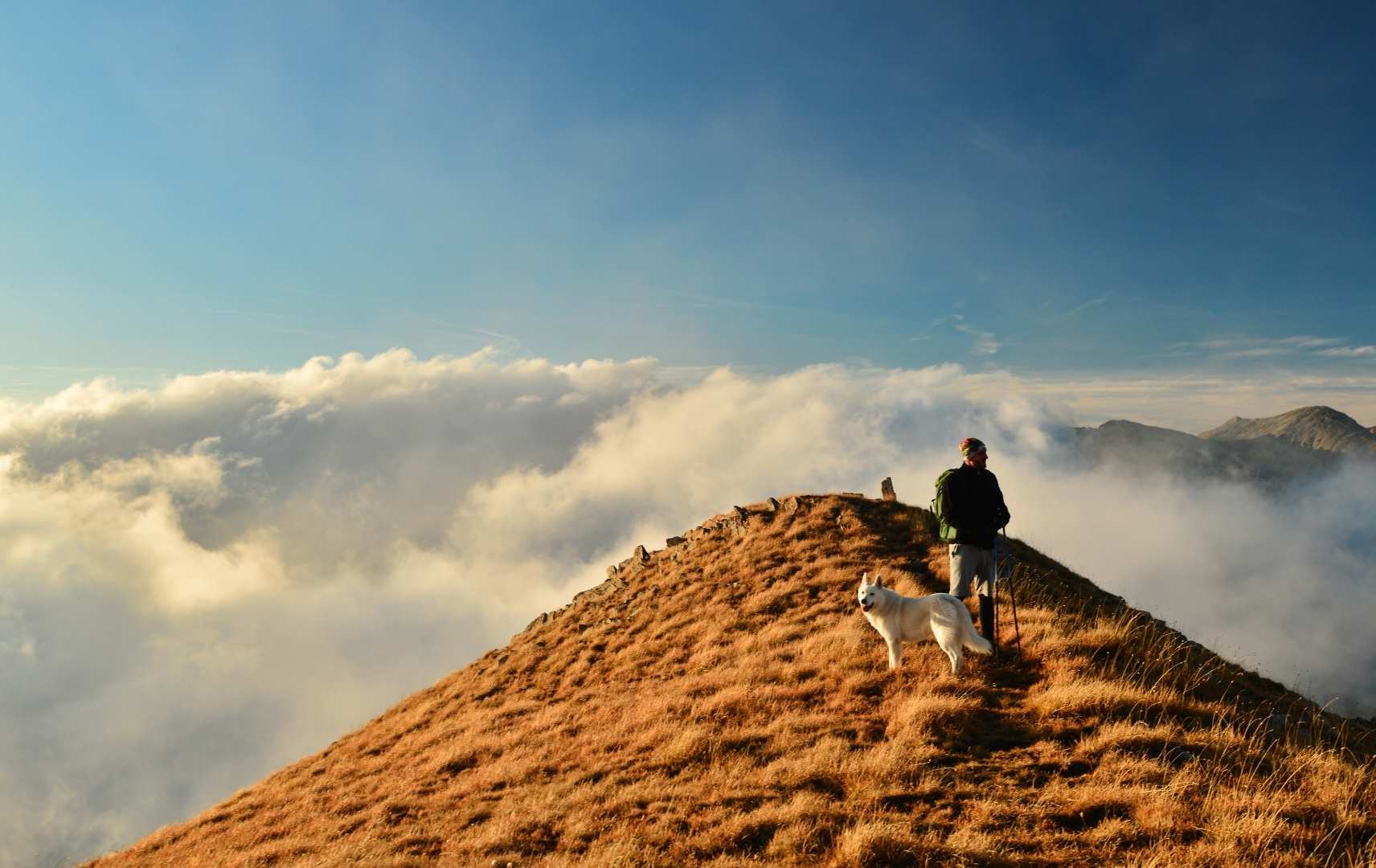 Mann geht mit seinem Hund auf dem Berg spazieren
