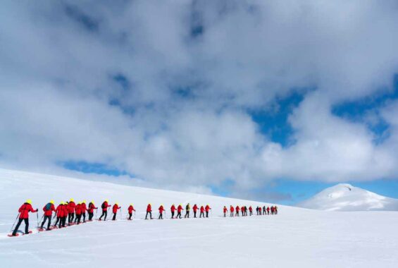 Expeditionsgruppe im Schnee