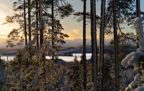Schneelandschaft Finnland