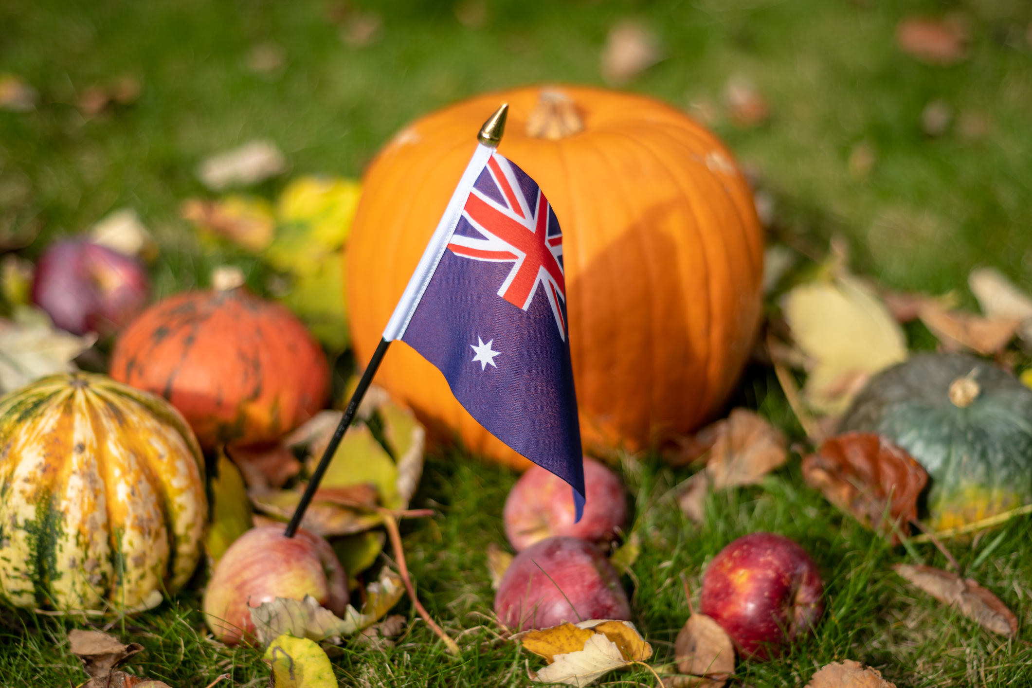 Halloween in Australien mit einer Fahne und Kürbis